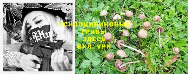 бошки Верея