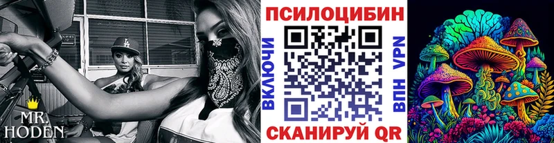 Псилоцибиновые грибы мухоморы  hydra зеркало  Давлеканово 